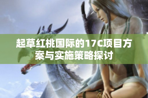 起草红桃国际的17C项目方案与实施策略探讨