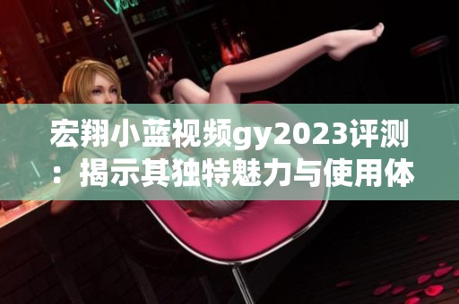 宏翔小蓝视频gy2023评测：揭示其独特魅力与使用体验