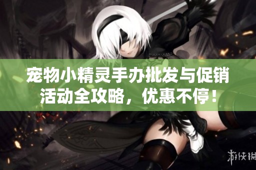 宠物小精灵手办批发与促销活动全攻略，优惠不停！