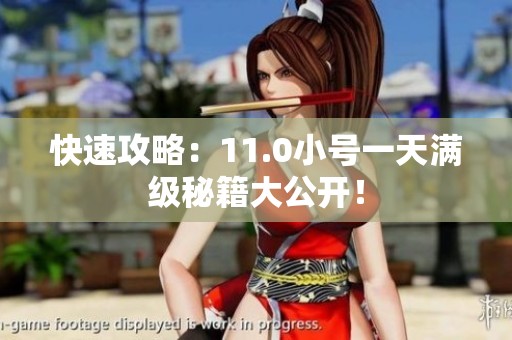 快速攻略：11.0小号一天满级秘籍大公开！