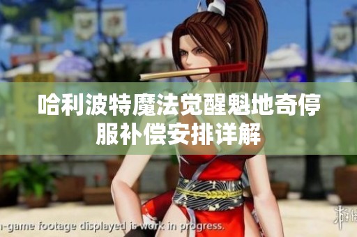 哈利波特魔法觉醒魁地奇停服补偿安排详解