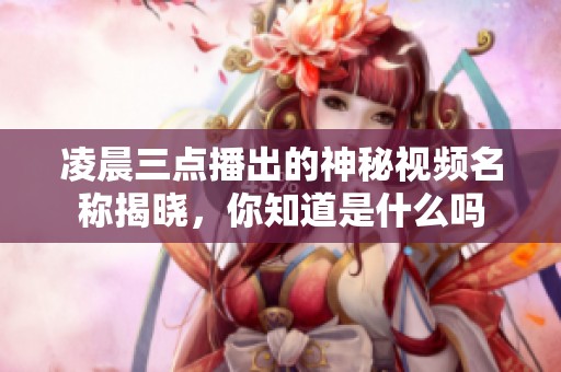 凌晨三点播出的神秘视频名称揭晓，你知道是什么吗