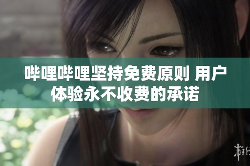哔哩哔哩坚持免费原则 用户体验永不收费的承诺