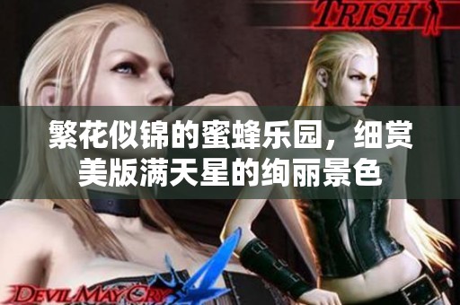 繁花似锦的蜜蜂乐园，细赏美版满天星的绚丽景色
