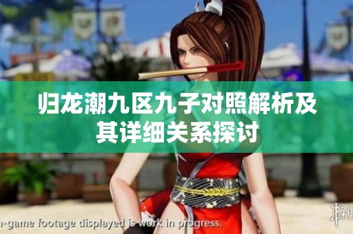归龙潮九区九子对照解析及其详细关系探讨
