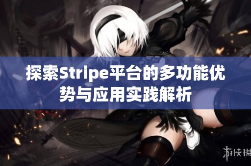 探索Stripe平台的多功能优势与应用实践解析