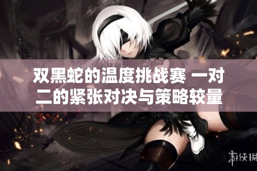 双黑蛇的温度挑战赛 一对二的紧张对决与策略较量