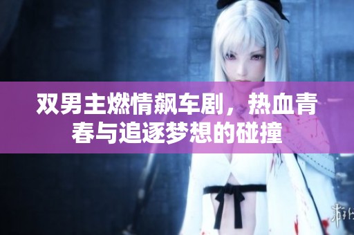 双男主燃情飙车剧，热血青春与追逐梦想的碰撞