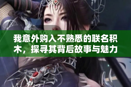 我意外购入不熟悉的联名积木，探寻其背后故事与魅力