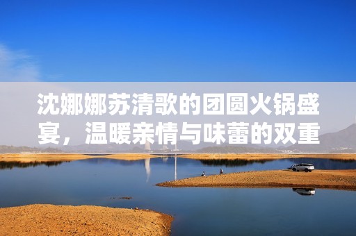 沈娜娜苏清歌的团圆火锅盛宴，温暖亲情与味蕾的双重享受