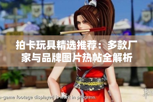 拍卡玩具精选推荐：多款厂家与品牌图片热帖全解析