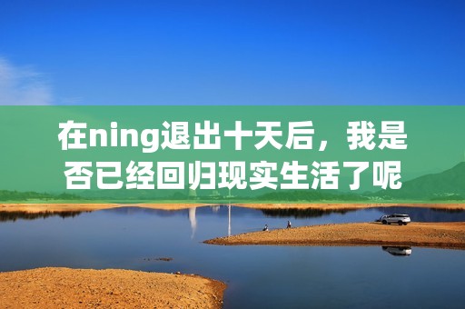 在ning退出十天后，我是否已经回归现实生活了呢