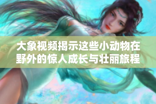 大象视频揭示这些小动物在野外的惊人成长与壮丽旅程