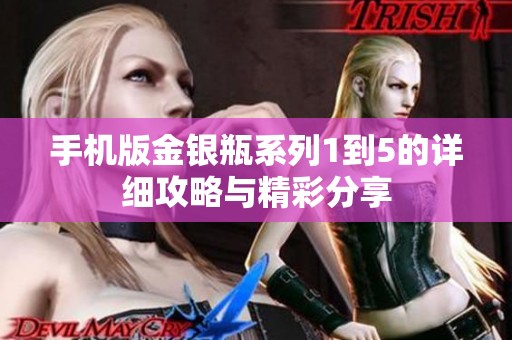 手机版金银瓶系列1到5的详细攻略与精彩分享