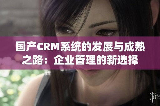 国产CRM系统的发展与成熟之路：企业管理的新选择