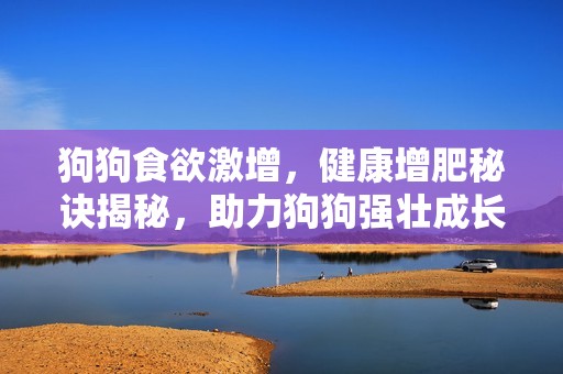 狗狗食欲激增，健康增肥秘诀揭秘，助力狗狗强壮成长
