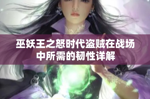 巫妖王之怒时代盗贼在战场中所需的韧性详解