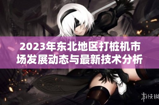 2023年东北地区打桩机市场发展动态与最新技术分析