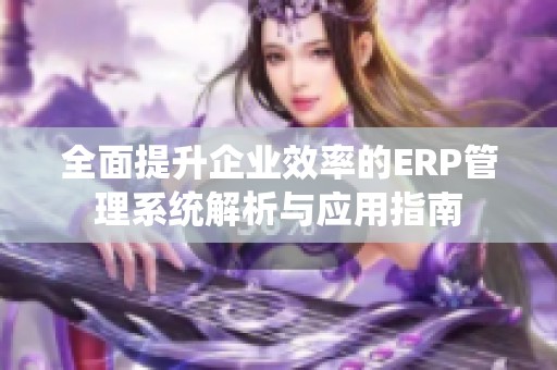 全面提升企业效率的ERP管理系统解析与应用指南