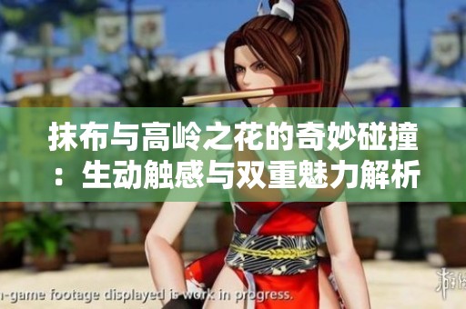 抹布与高岭之花的奇妙碰撞：生动触感与双重魅力解析