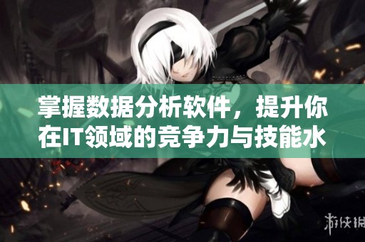 掌握数据分析软件，提升你在IT领域的竞争力与技能水平