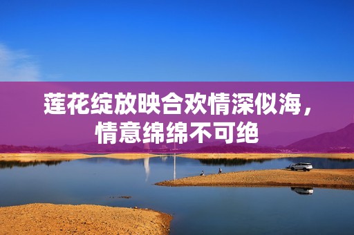 莲花绽放映合欢情深似海，情意绵绵不可绝
