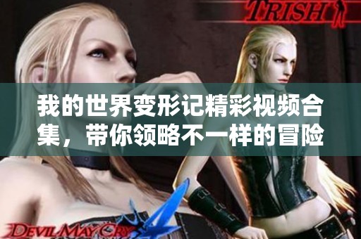 我的世界变形记精彩视频合集，带你领略不一样的冒险旅程