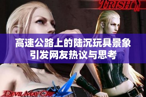 高速公路上的陆沉玩具景象引发网友热议与思考
