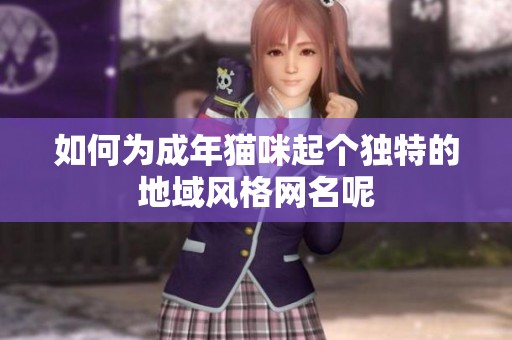 如何为成年猫咪起个独特的地域风格网名呢