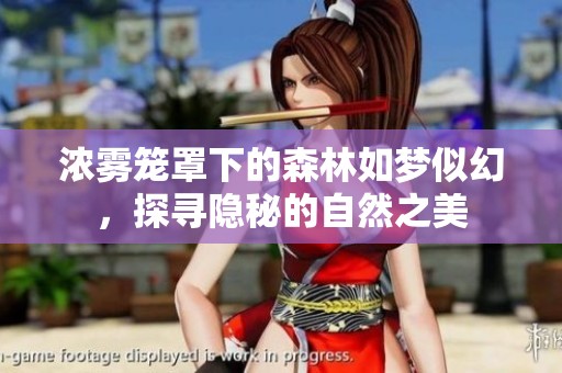 浓雾笼罩下的森林如梦似幻，探寻隐秘的自然之美