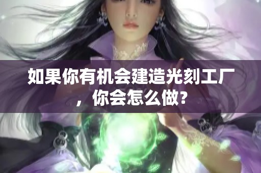 如果你有机会建造光刻工厂，你会怎么做？