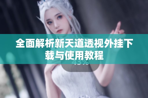全面解析新天道透视外挂下载与使用教程