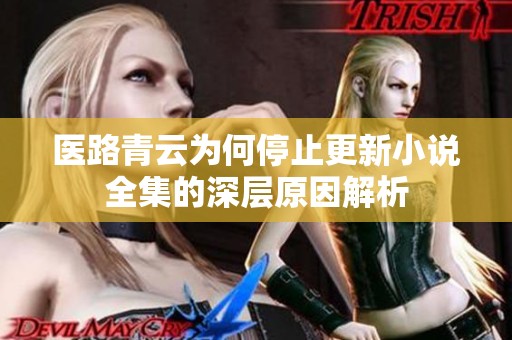 医路青云为何停止更新小说全集的深层原因解析