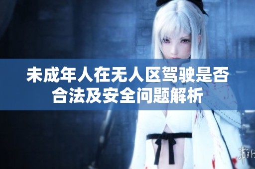 未成年人在无人区驾驶是否合法及安全问题解析