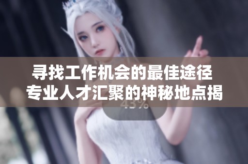 寻找工作机会的最佳途径 专业人才汇聚的神秘地点揭秘