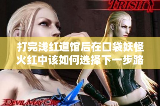 打完浅红道馆后在口袋妖怪火红中该如何选择下一步路径