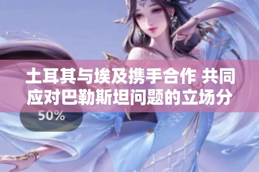 土耳其与埃及携手合作 共同应对巴勒斯坦问题的立场分析