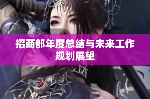 招商部年度总结与未来工作规划展望
