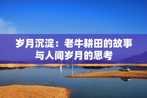岁月沉淀：老牛耕田的故事与人间岁月的思考