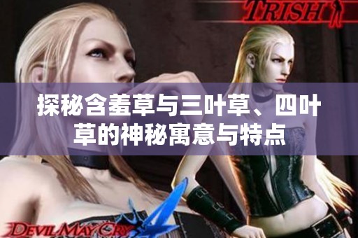 探秘含羞草与三叶草、四叶草的神秘寓意与特点