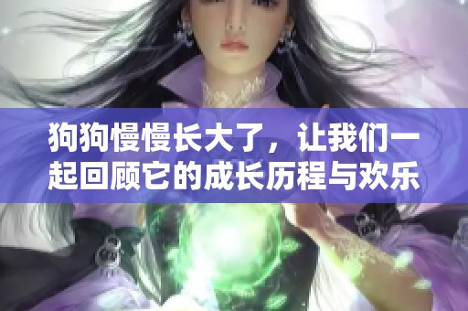 狗狗慢慢长大了，让我们一起回顾它的成长历程与欢乐时光