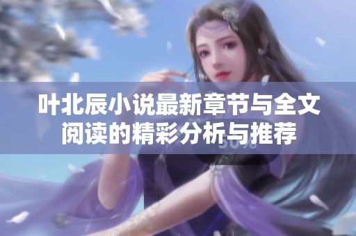 叶北辰小说最新章节与全文阅读的精彩分析与推荐