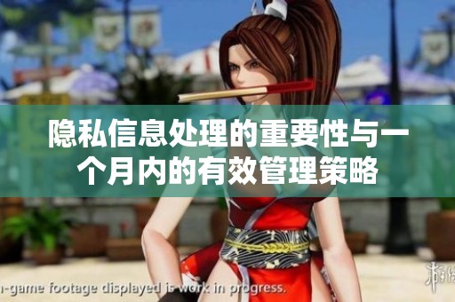 隐私信息处理的重要性与一个月内的有效管理策略