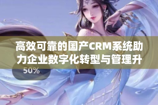 高效可靠的国产CRM系统助力企业数字化转型与管理升级