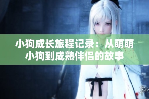 小狗成长旅程记录：从萌萌小狗到成熟伴侣的故事