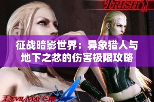征战暗影世界：异象猎人与地下之忿的伤害极限攻略