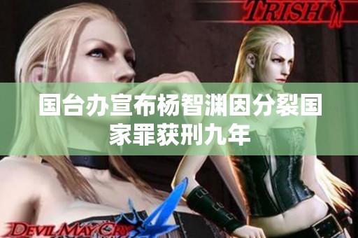 国台办宣布杨智渊因分裂国家罪获刑九年