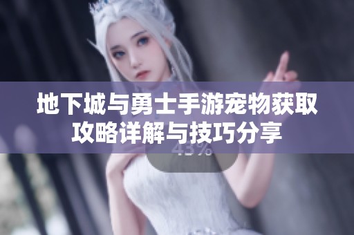 地下城与勇士手游宠物获取攻略详解与技巧分享
