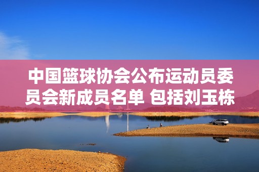 中国篮球协会公布运动员委员会新成员名单 包括刘玉栋王治郅赵重等21名球员