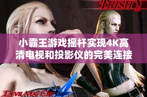 小霸王游戏摇杆实现4K高清电视和投影仪的完美连接体验